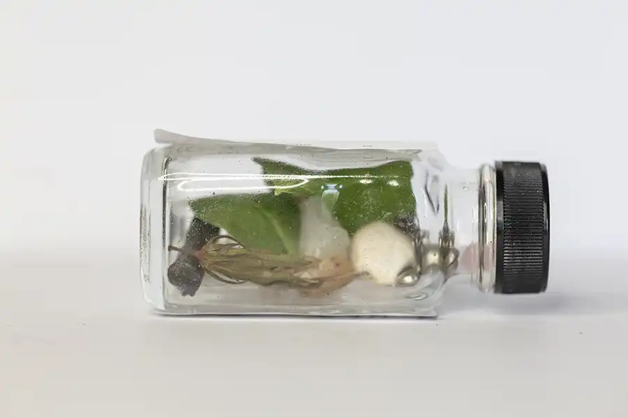 R62_9489 - Copy_Priestess_Shoshana_7-21-24_ASP - Spiritual Teachers Voodoo Protection Root Work