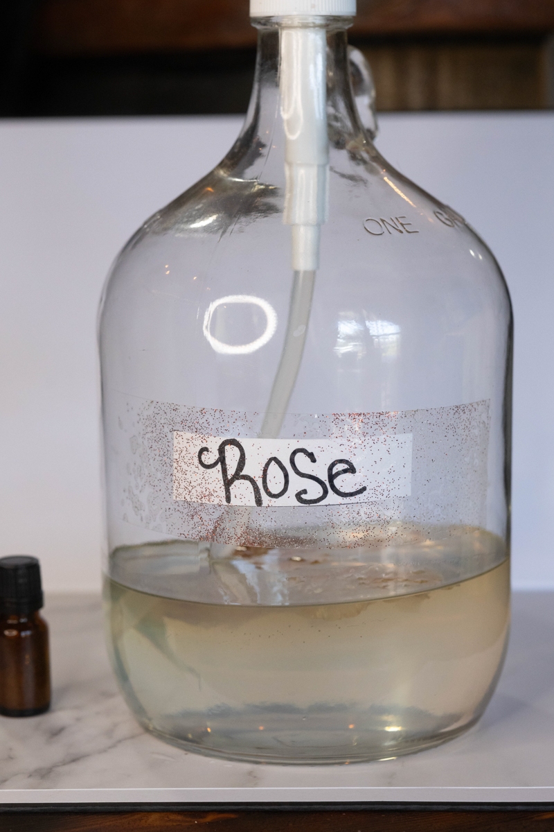 R62_0466_Shoshana_product_photos_ASP_web - Spiritual Teachers Voodoo Rose Oil