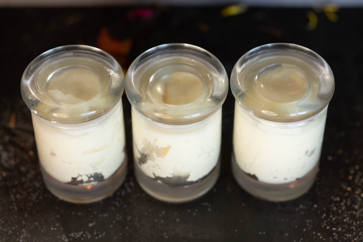 R62_0639_Shoshana_product_photos_ASP_web - Spiritual Teachers Voodoo Scar reduction salve