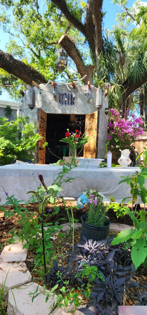 Confession of a psychic